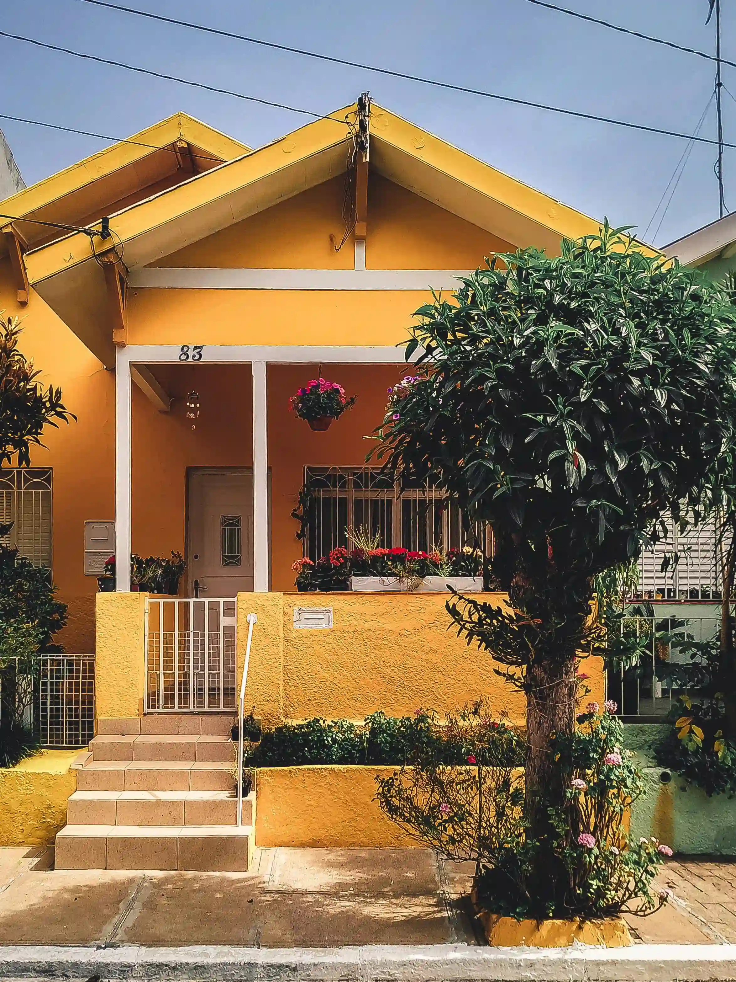 Kingston vs Montego Bay Real Estate Investment